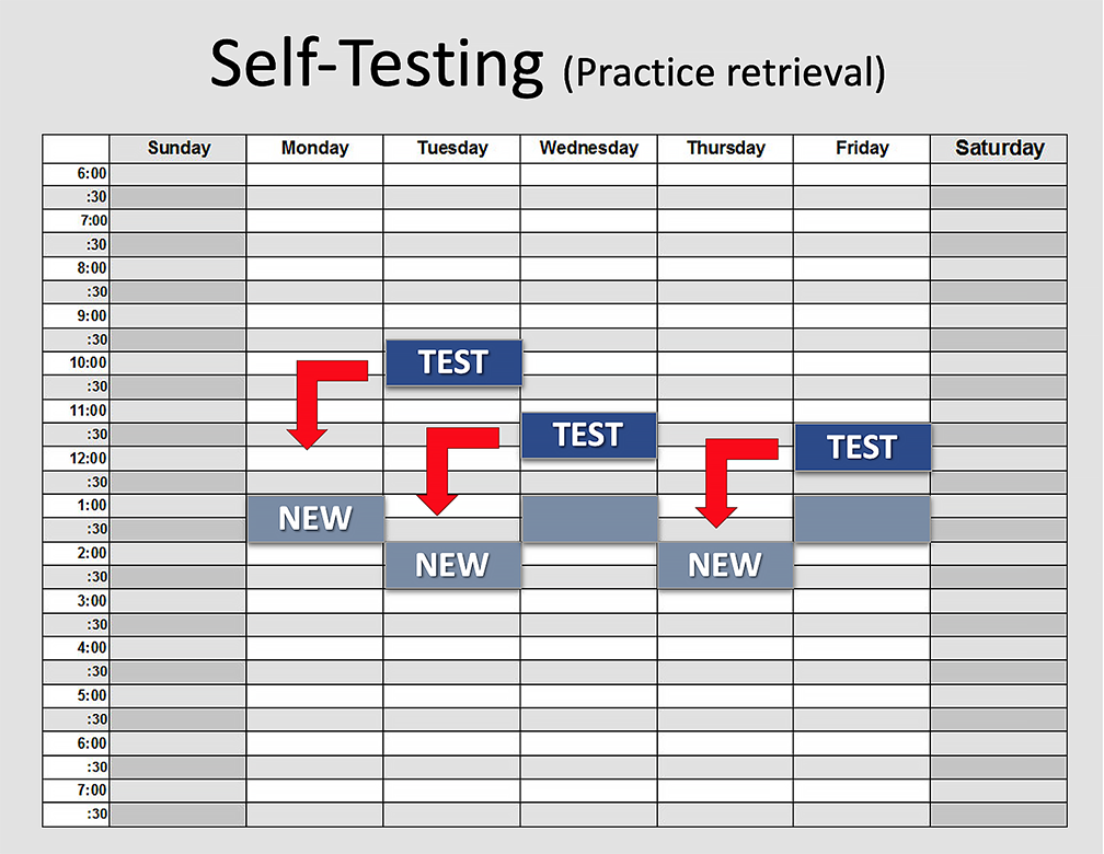 blocks of text on a calendar representing the self-testing strategy